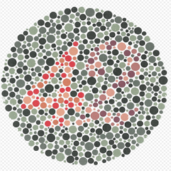 Bild_2_Ishihara_Tafel