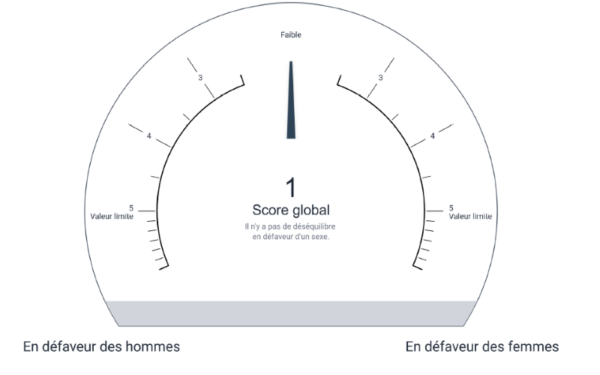 Lohngleichheitsanalyse_FR