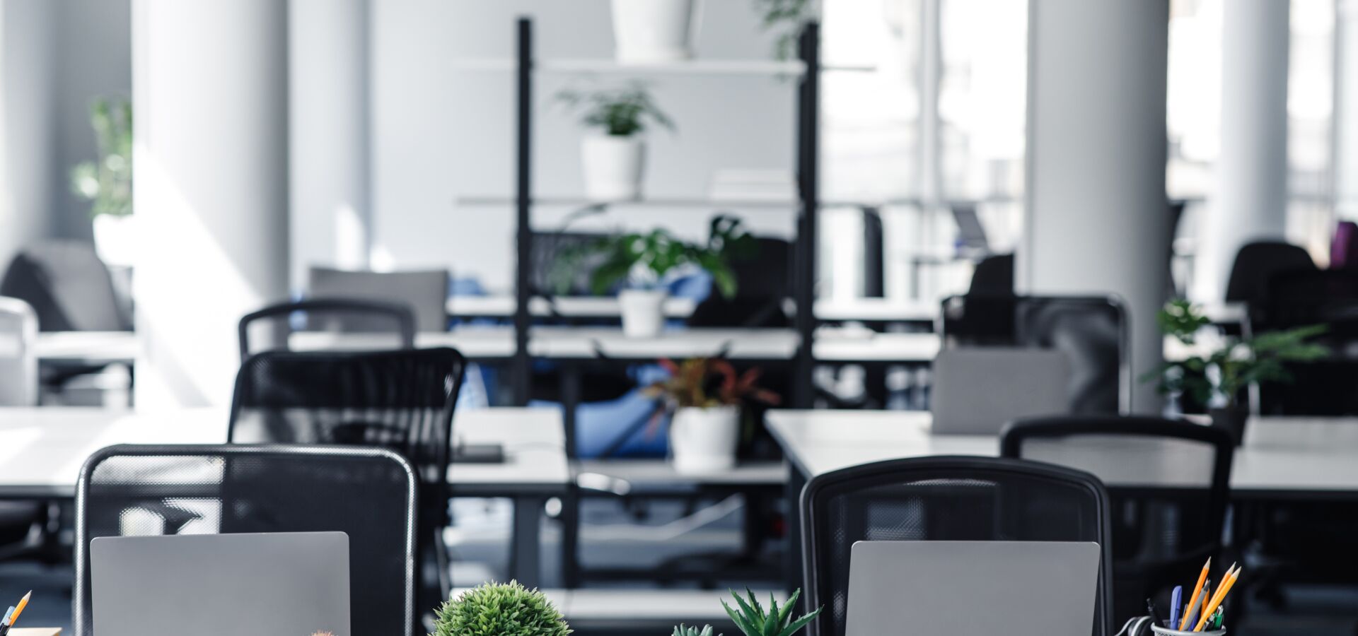 Leeres Büro mit Stühlen, Schreibtischen und Pflanzen