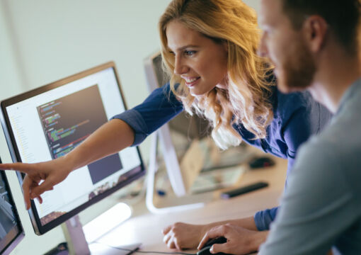 Softwareentwicklung Consulting