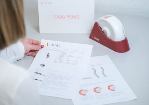 Dokumente zum Idiag Rückenscan