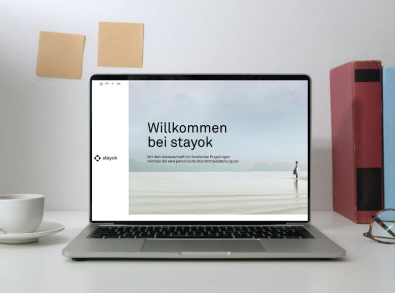 Mockup stayok2024 de