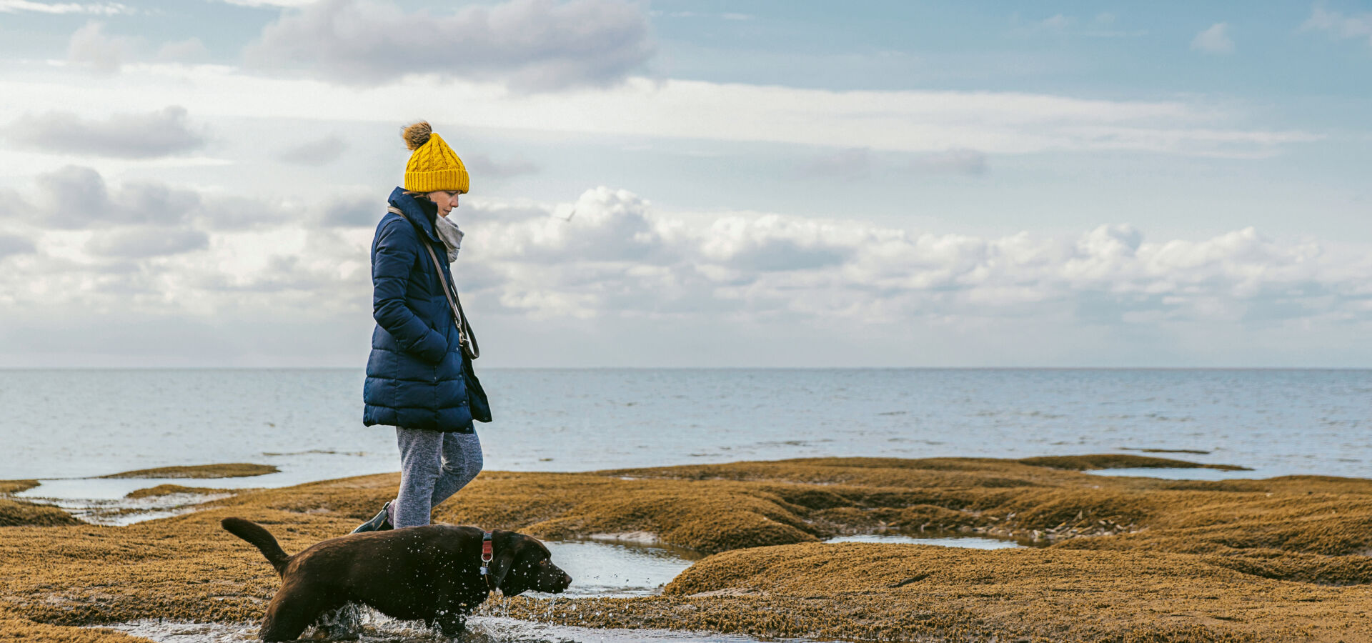 Frau und Hund spazieren in der Natur