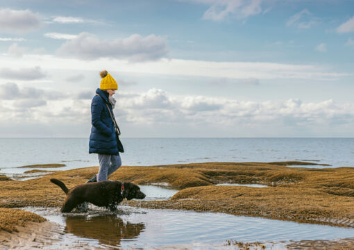Frau und Hund spazieren in der Natur